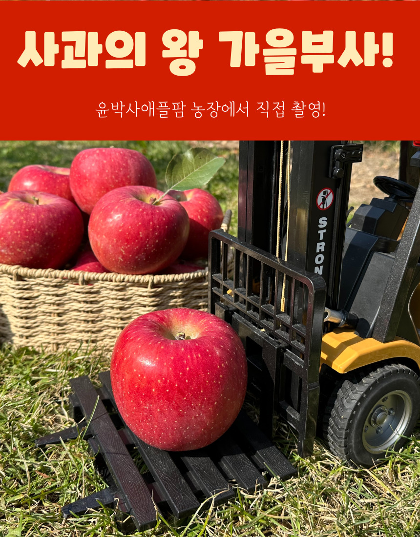 가을사과 [부사]  10kg  가정용[못난이]